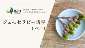 ジェモ講座レベル１画像