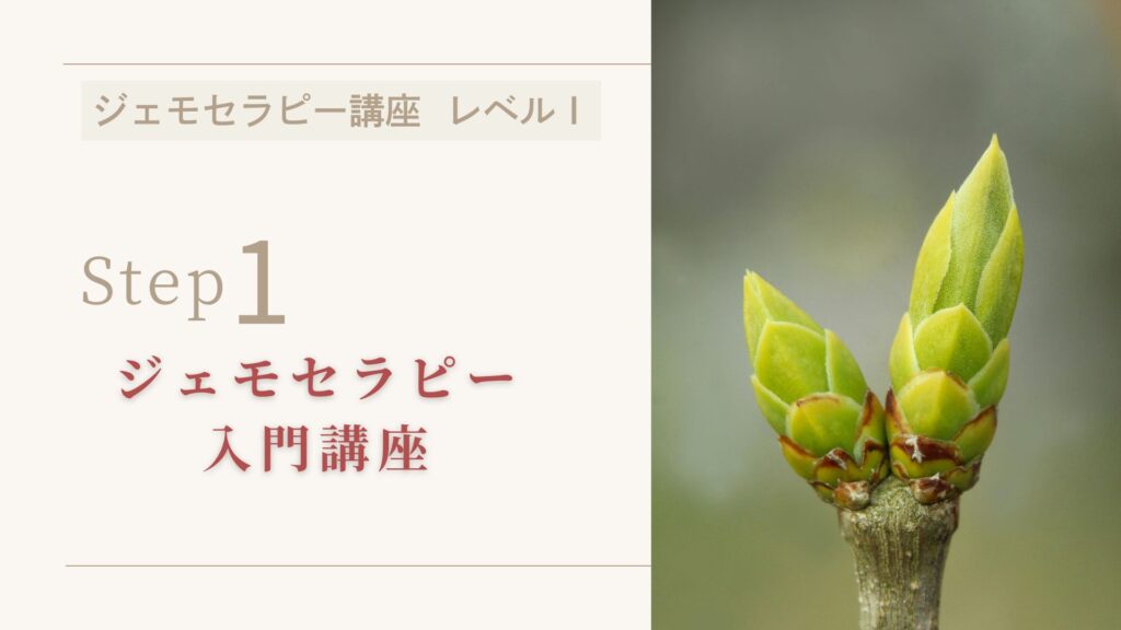 ジェモセラピー入門講座